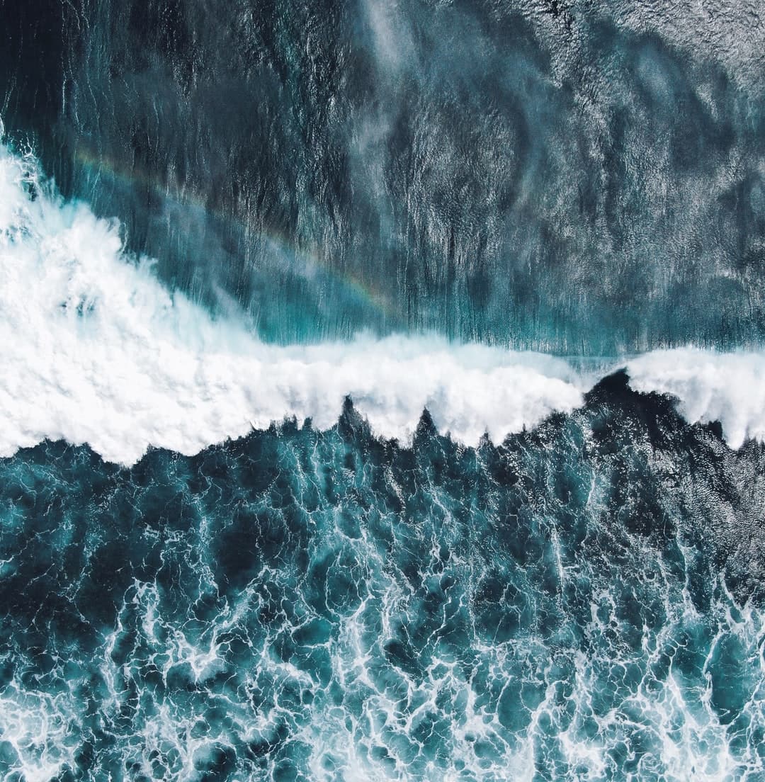 해파리 액젓 소스